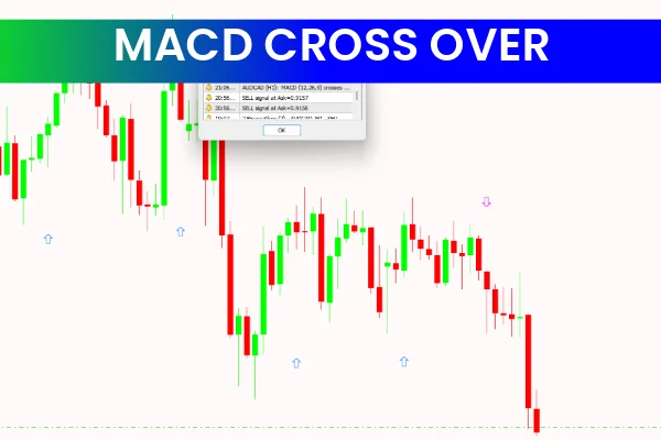 MACD Crossover Arrows & Alert