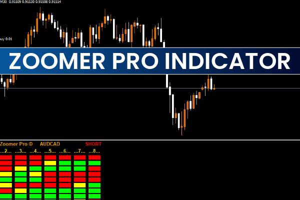 Zoomer Pro Indicator