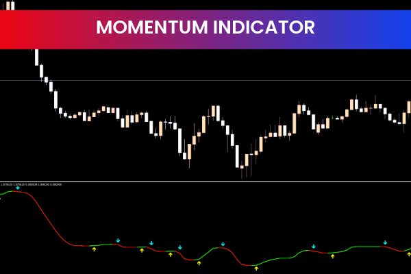Momentum Indicator for mt5