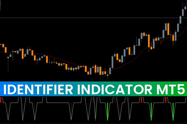 Identifier Indicator