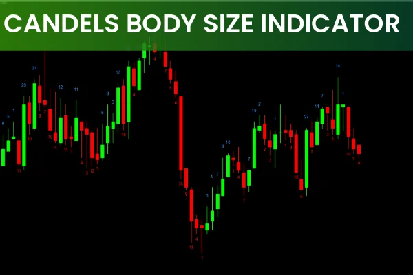 Candle Body Size Indicator
