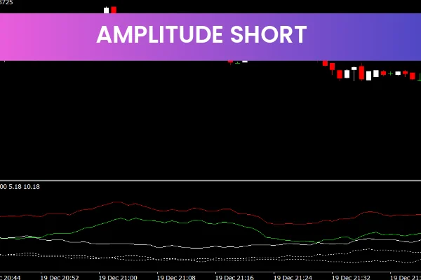 Amplitude Short V2