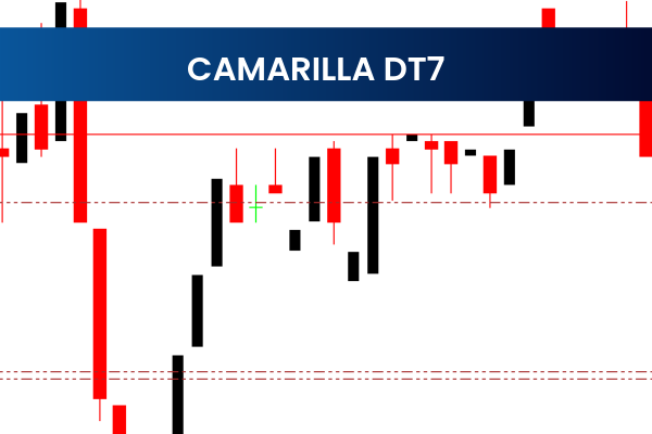 Camarilla DT7