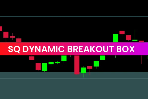 SQ Dynamic Breakout Box