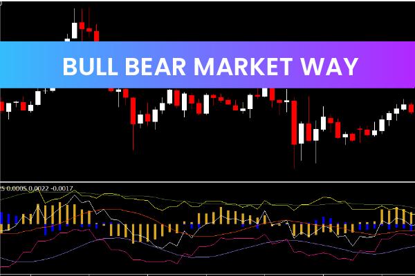 Bull Bear Market Way