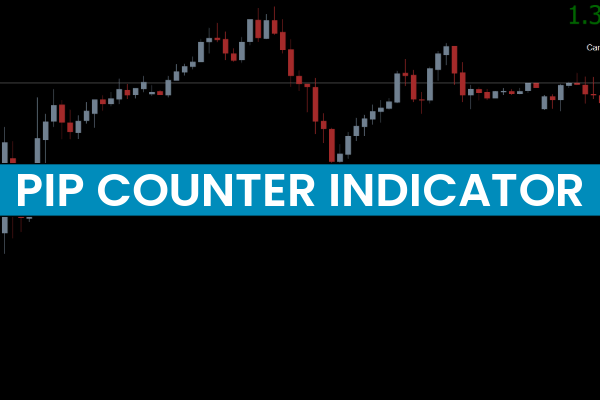 Pip Counter Indicator