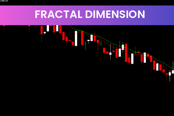 Fractal Dimension
