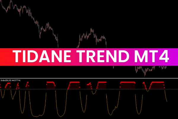 Tidane Trend