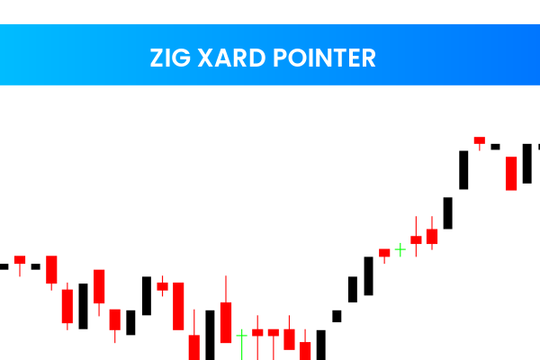 ZIG Xard Pointer