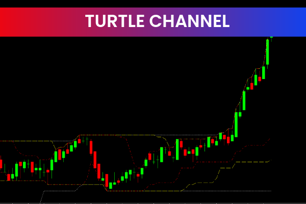 Turtle Channel