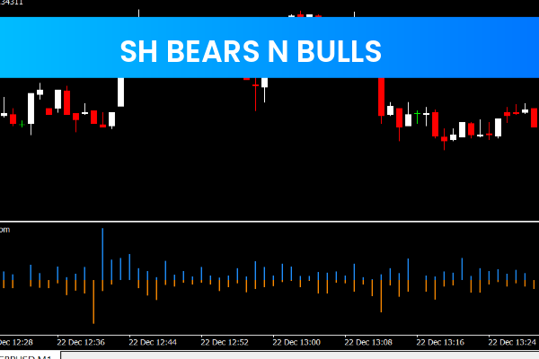 SH Bears N Bulls