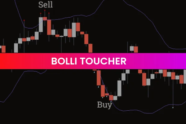 Bolli Toucher