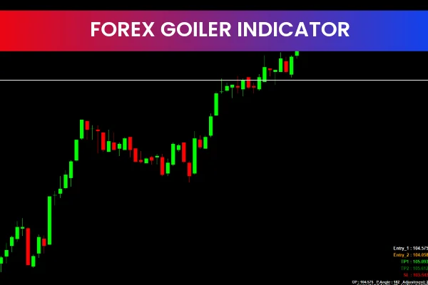 Forex Goiler