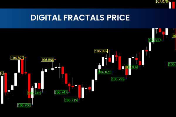 Digital Fractals Price