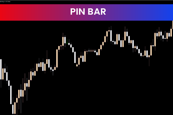 Pin Bars
