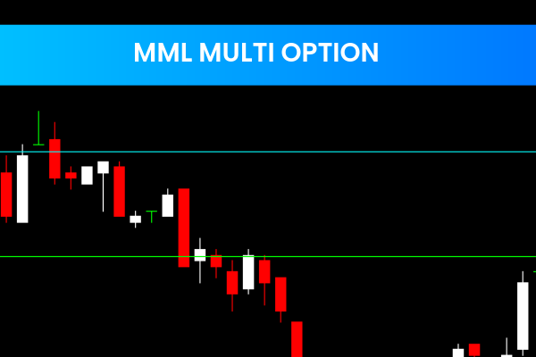 Mml Multi Option
