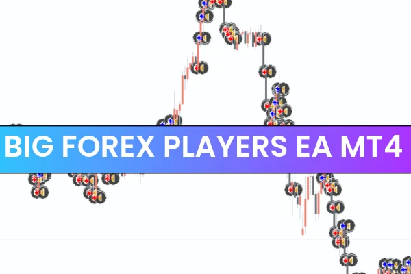 Big Forex Players EA MT4