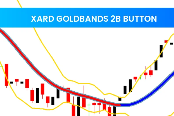 Xard Goldbands 2B Button