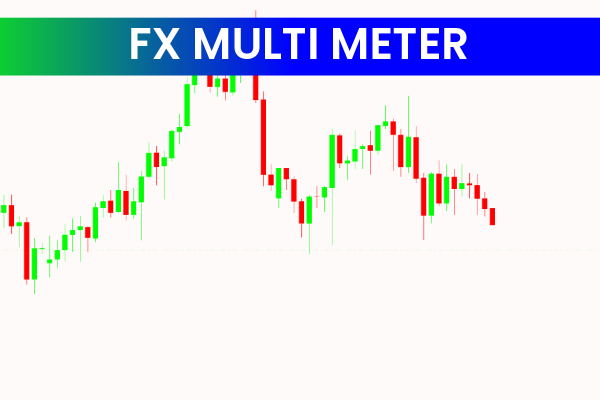 FX Multi Meter