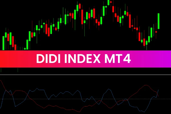 Didi Index