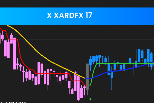 X Xardfx 17