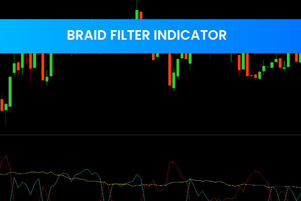 Braid Filter Indicator