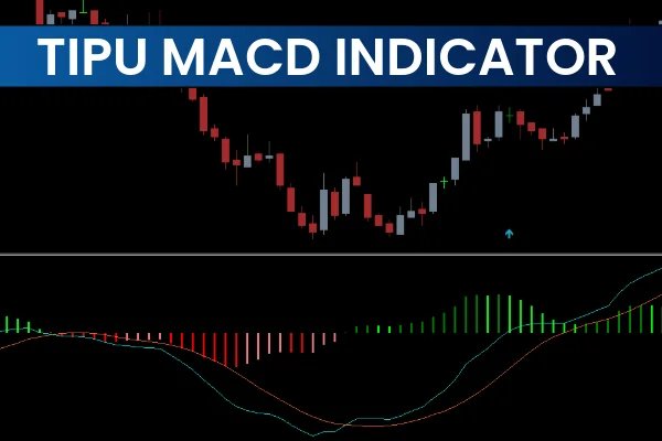 Tipu MACD Indicator