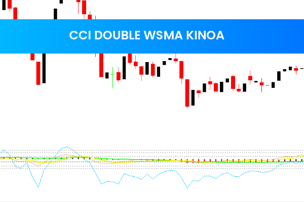 Cci Double Wsma Kinoa