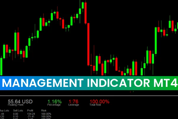 Management Indicator MT4