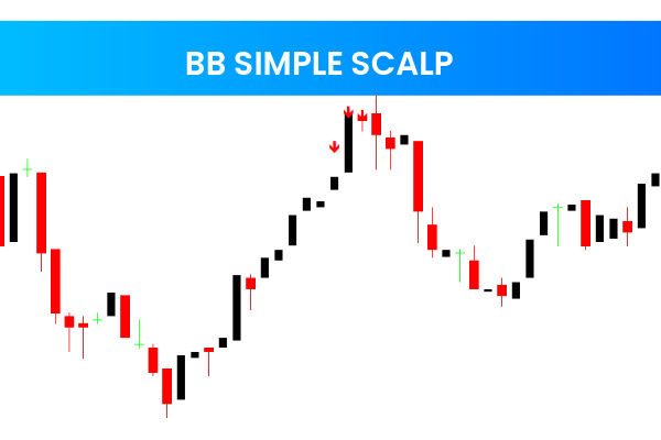 BB Simple Scalp