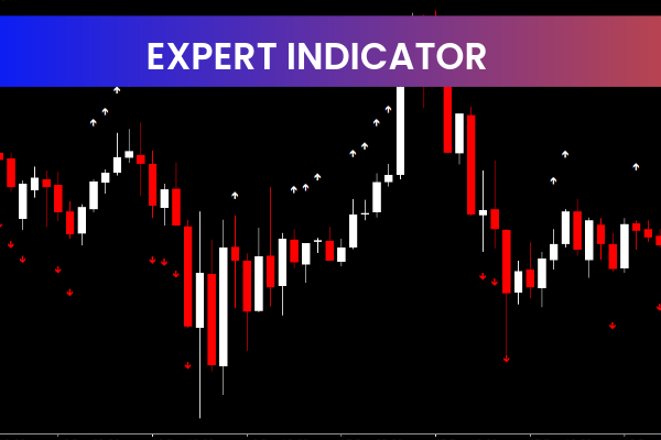 Expert Indicator