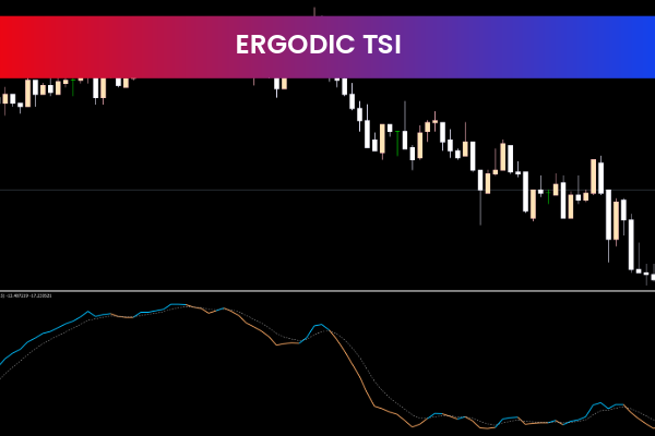 Ergodic TSI