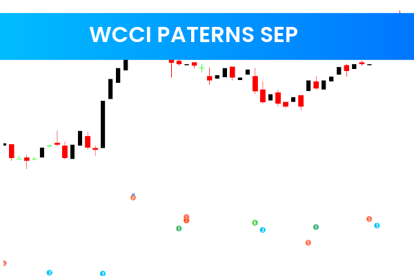 WCCI Paterns SEP