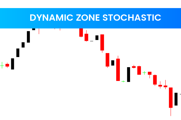 Dynamic Zone Stochastic
