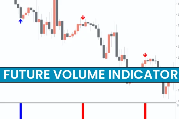 Future Volume Indicator