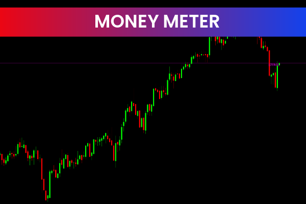 Money Meter