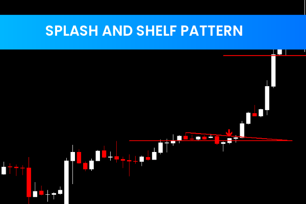 Splash And Shelf Pattern
