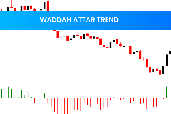 Waddah Attar Trend