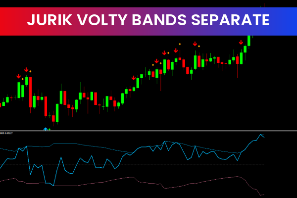 Jurik Volty Bands Separate