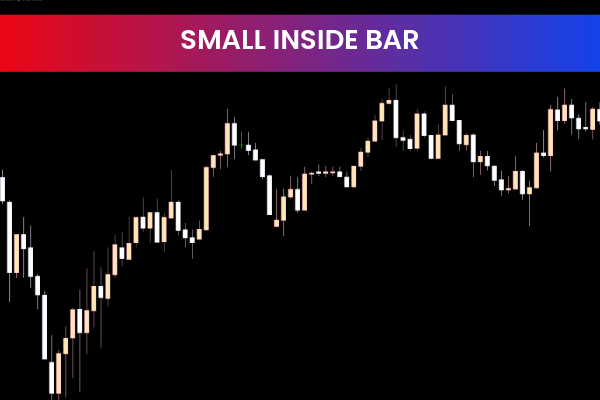 Small Inside Bar