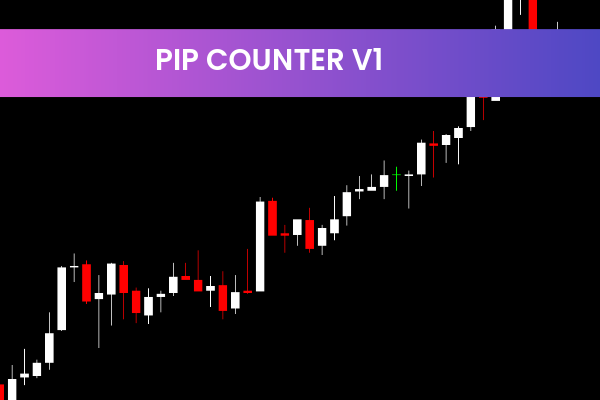 PIP Counter V1