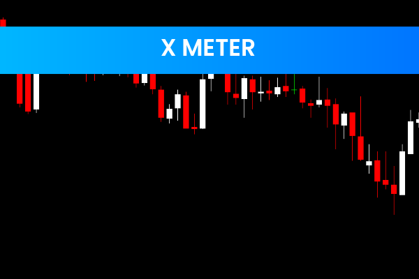 X Meter