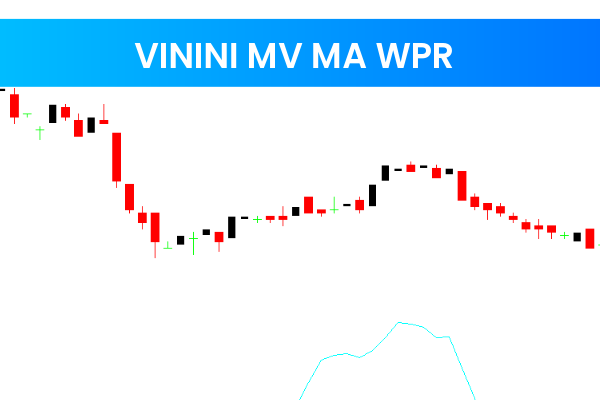 Vinini MV MA WPR