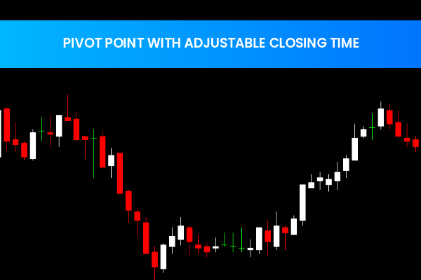 Pivot Point With Adjustable Closing Time