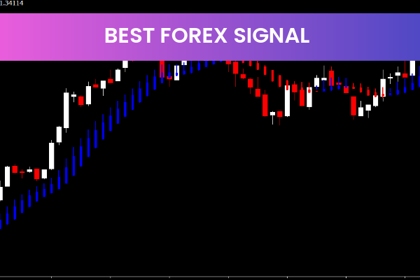 Best Forex Signal