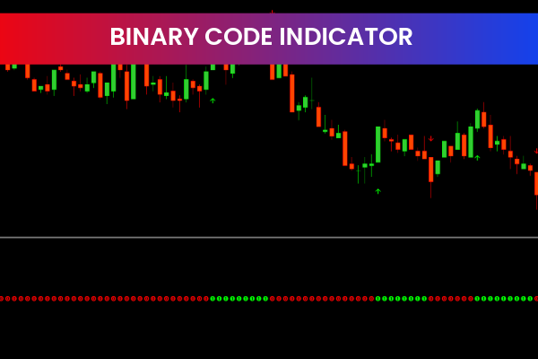 Binary Code Indicator