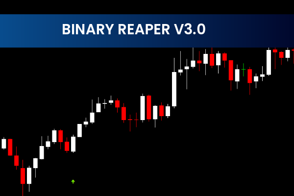 Binary Reaper V3.0
