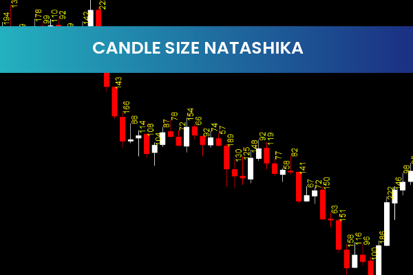 Candle Size Natashika