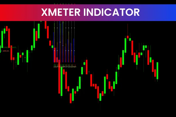Xmeter