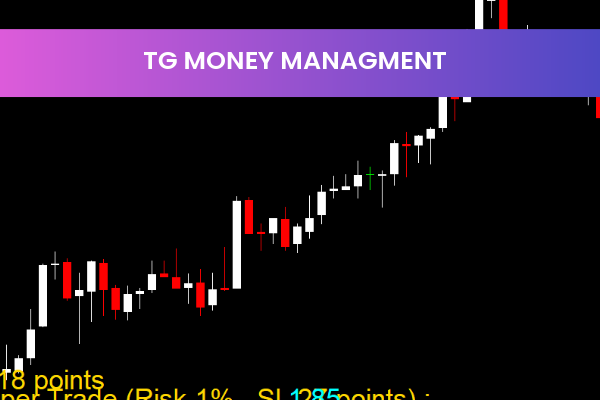 TG Money Managment